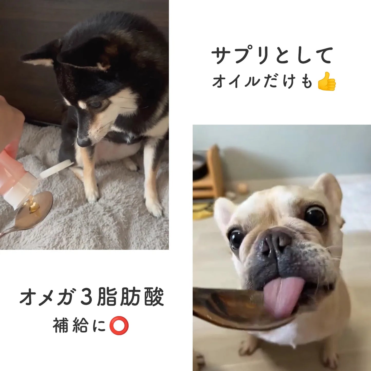 FreshPaw オメガオイル 160g